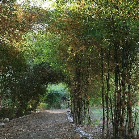 Parwati Wild Abode Corbett Resort Dhela Exteriör bild